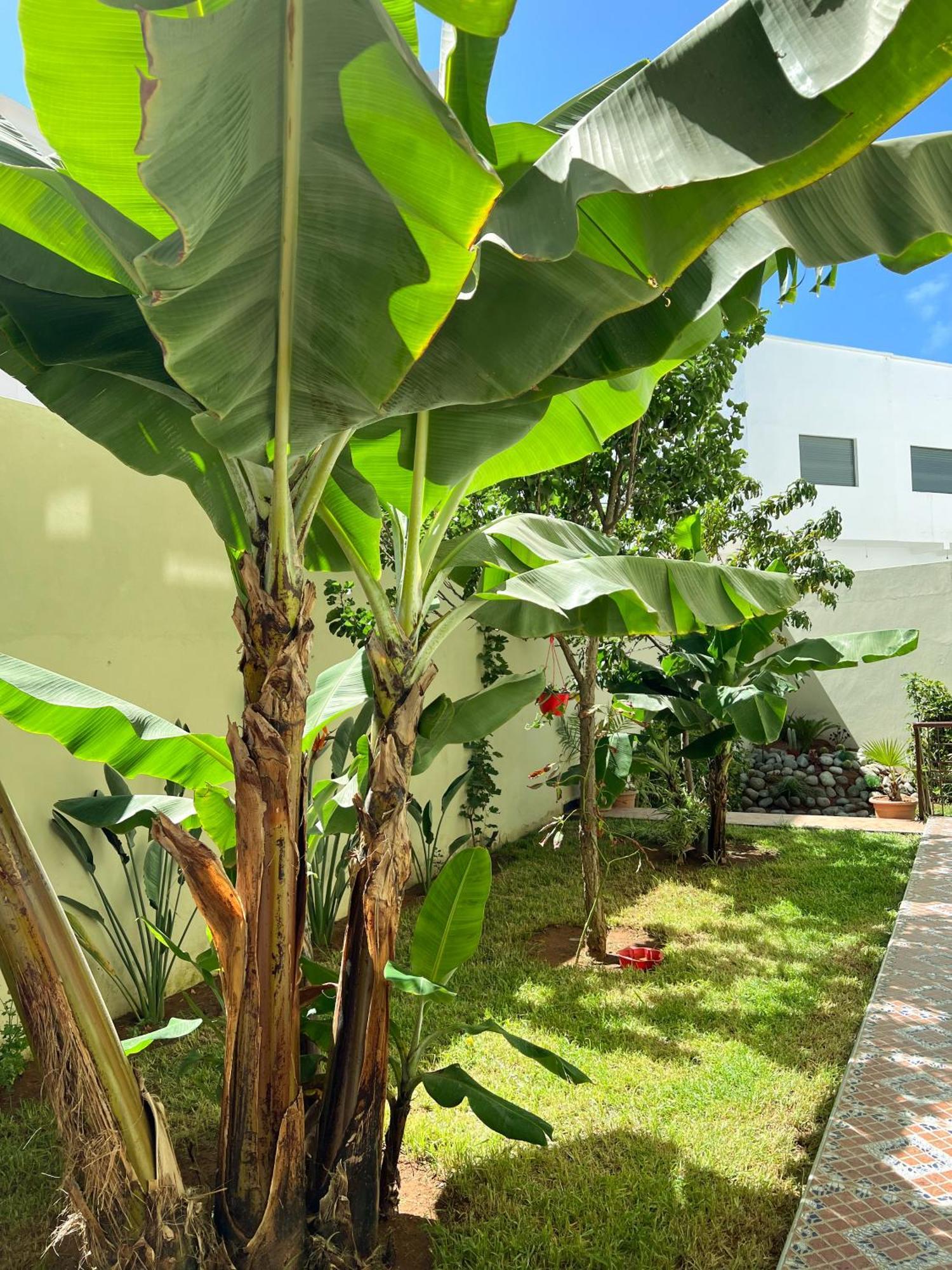 Maison D'Hotes Familiale "Dar Aboulanwar" El Jadida Exterior foto